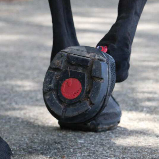 Hoefschoenen