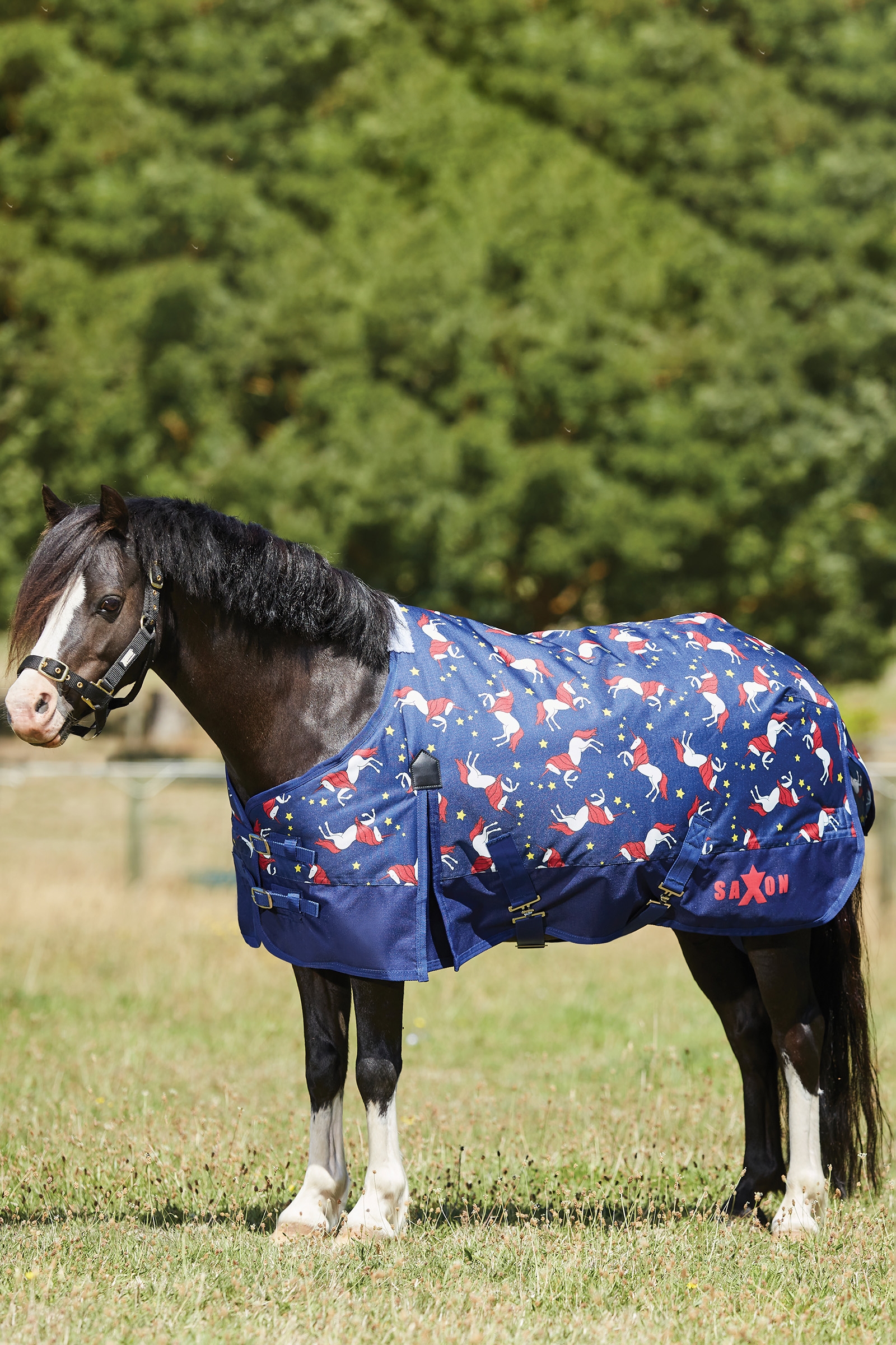 leraar Opeenvolgend Kers Koop Saxon 600D Pony Medium Turnout Rug, 180g | horze.nl