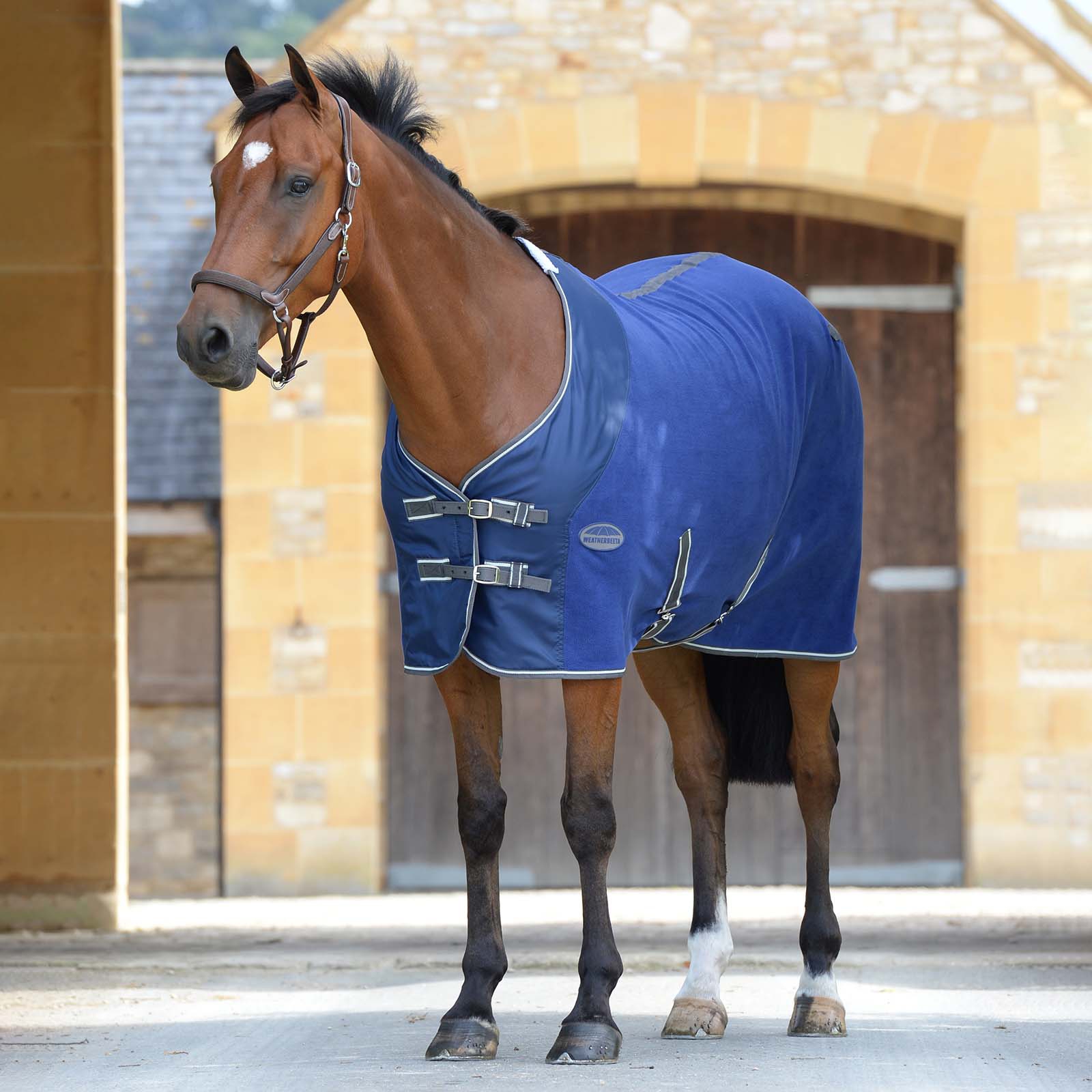 trainer nauwkeurig onderwerp Koop Weatherbeeta Fleece Zweetdeken Standaard hals | horze.nl