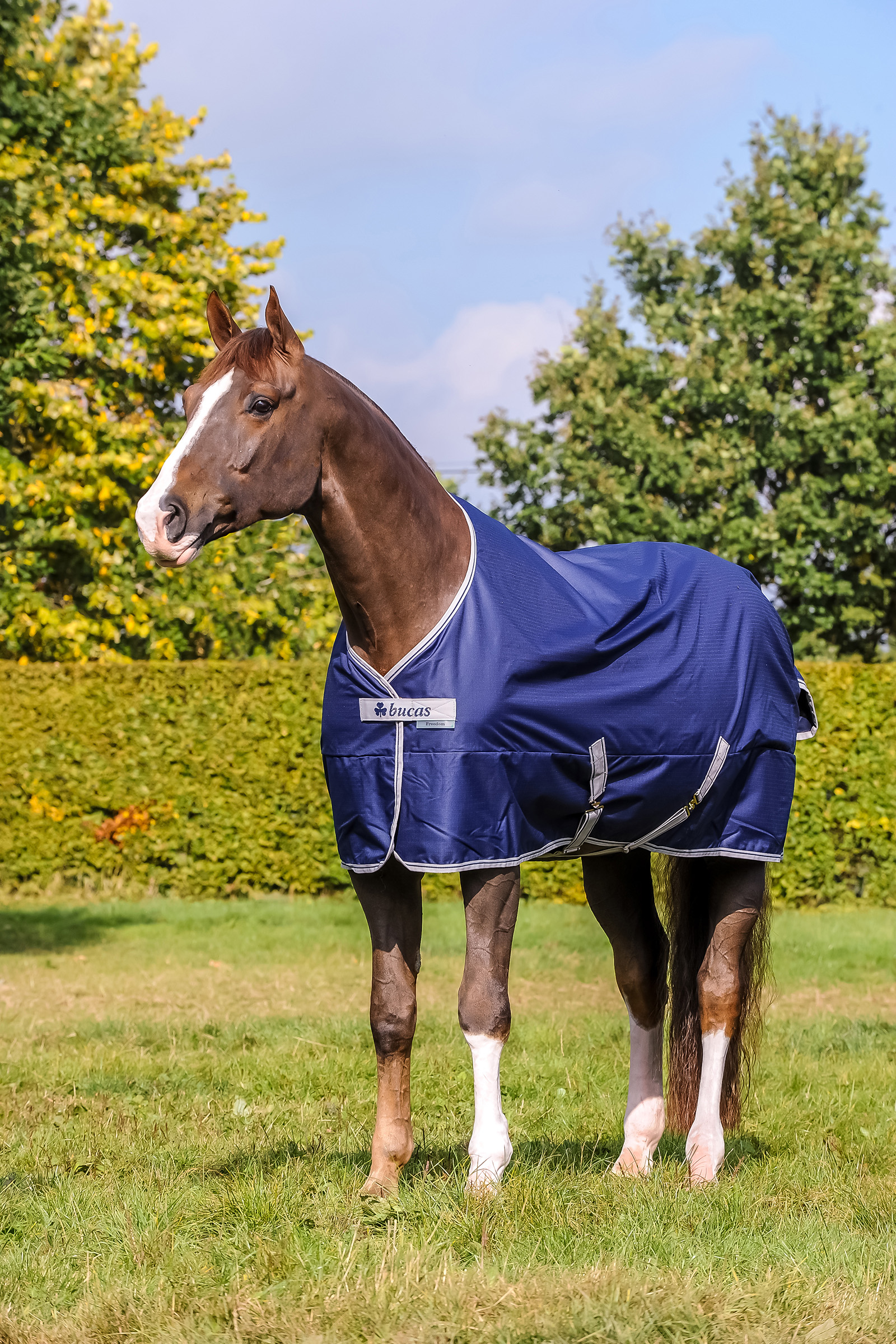 Bucas Freedom 150g, ponydeken | horze.nl