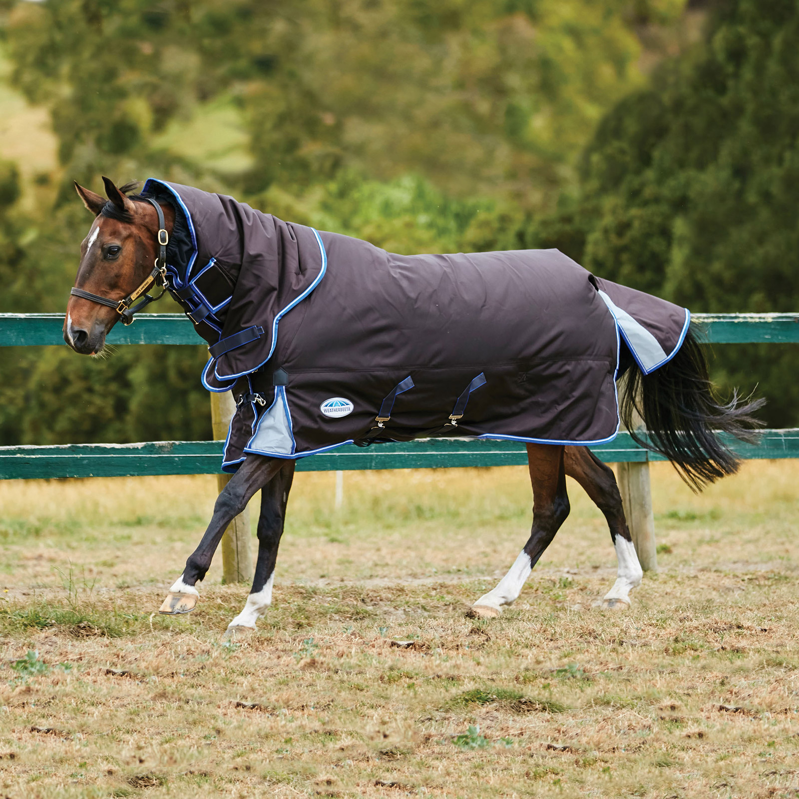 Vierde holte Verzending Koop WeatherBeeta ComFiTec Ultra Cozi Deken met Afneembare Hals, Medium,  220 gram | horze.nl