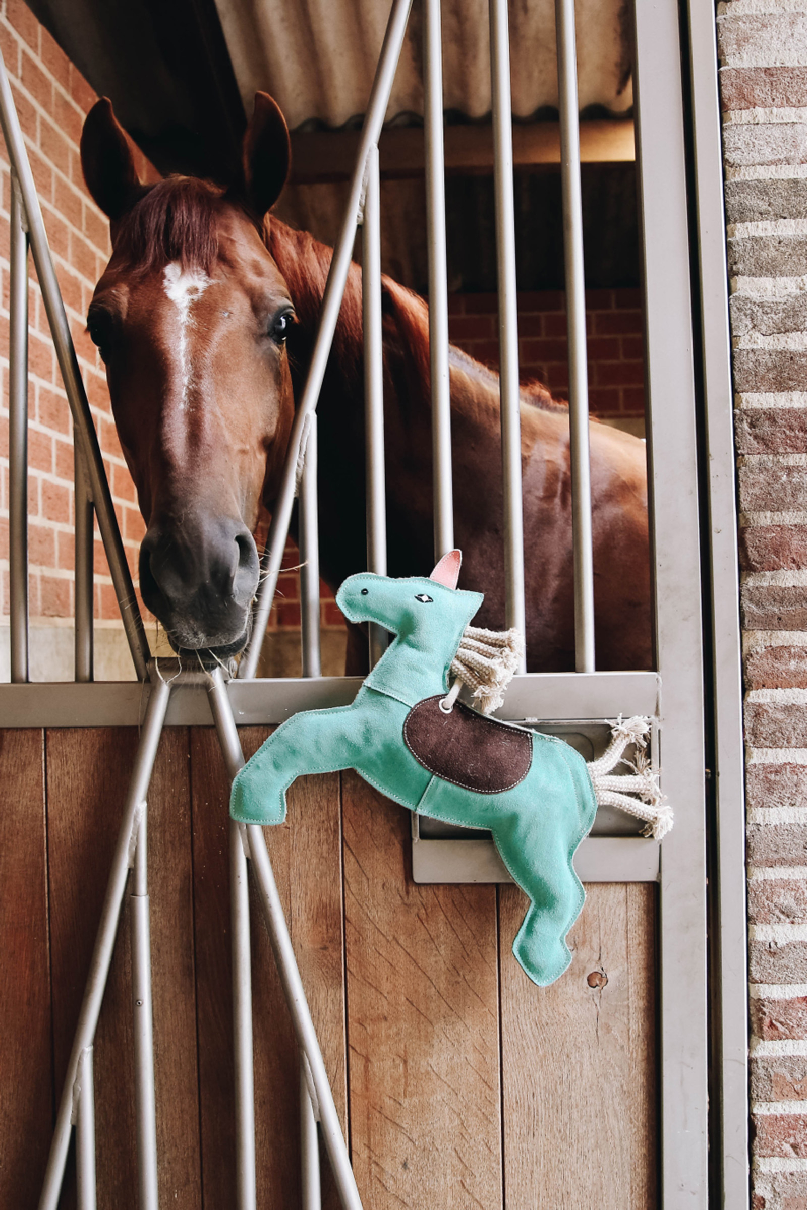 niets Jane Austen verf Koop rijbak benodigdheden & paarden speelgoed nu | horze.nl