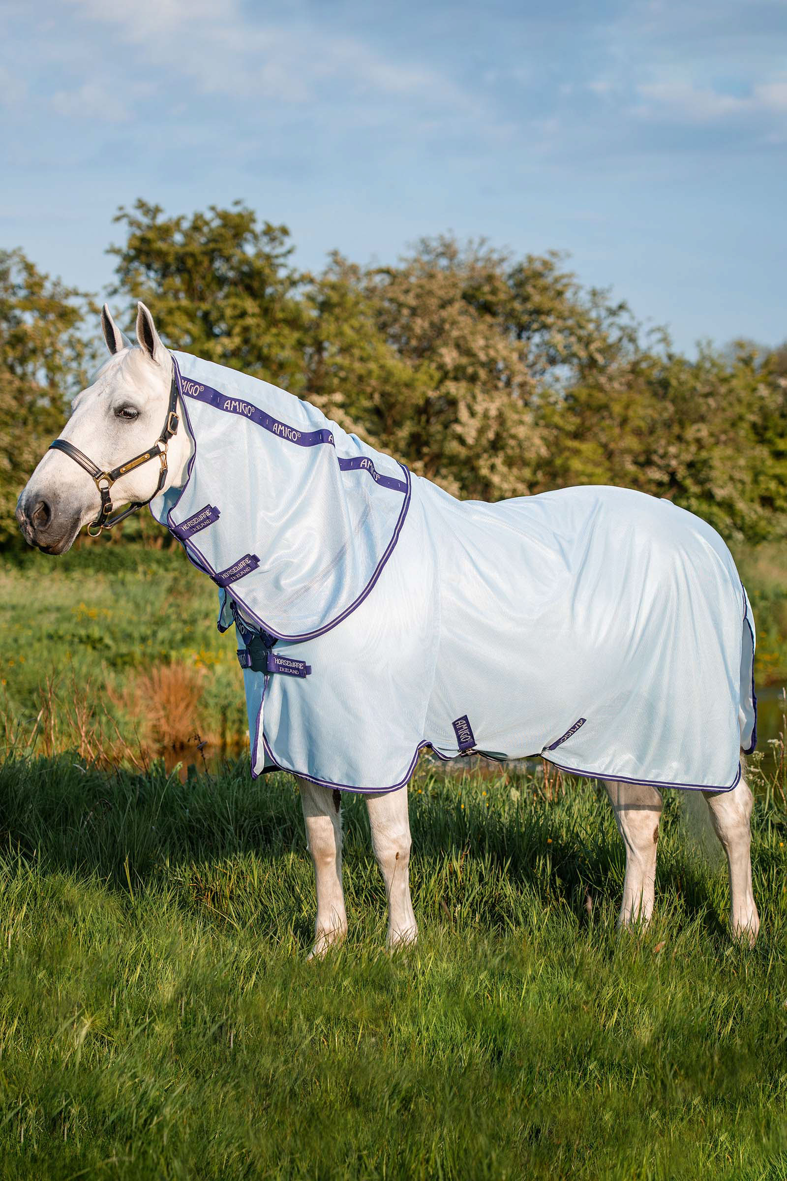 Afstoten Onderhandelen Profetie Koop Horseware Amigo XL vliegendeken | horze.nl
