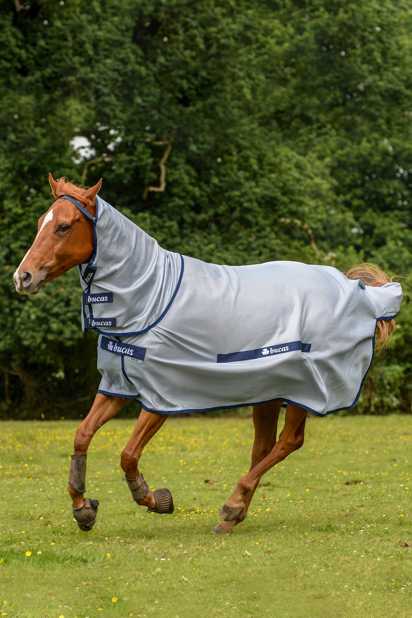 Koop Buzz-Off Ponydeken met Vaste Hals