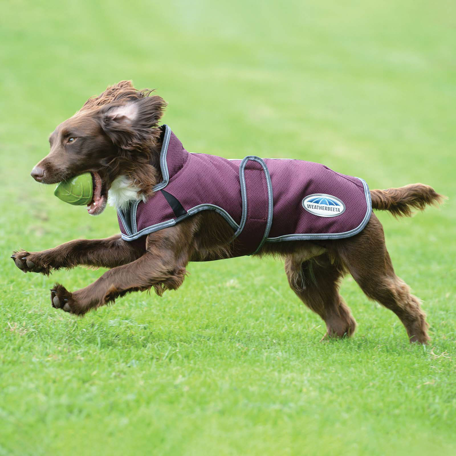 Weatherbeeta parka 1200d deluxe dog coat on sale