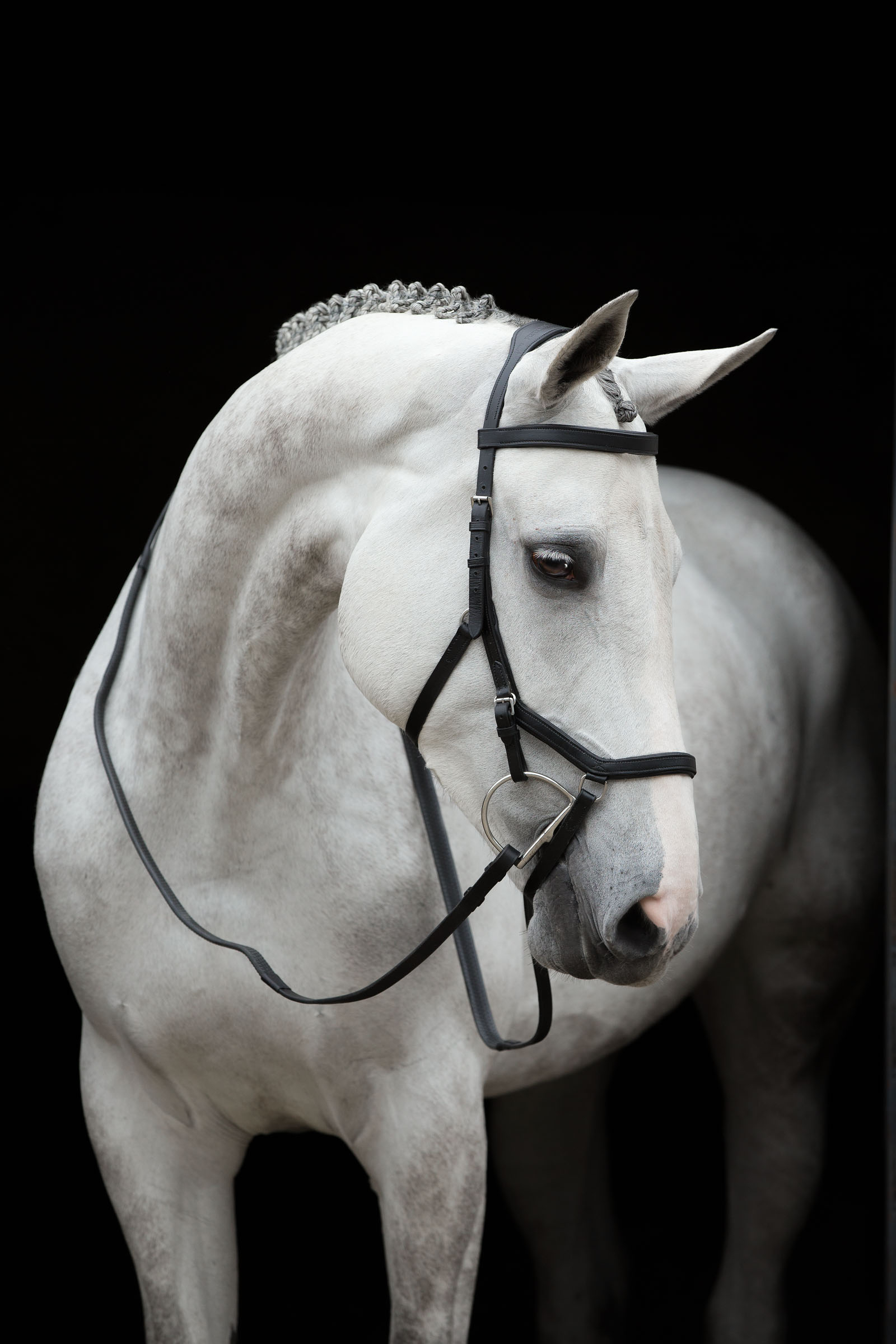 Horseware Rambo Micklem Wedstrijd Hoofdstel