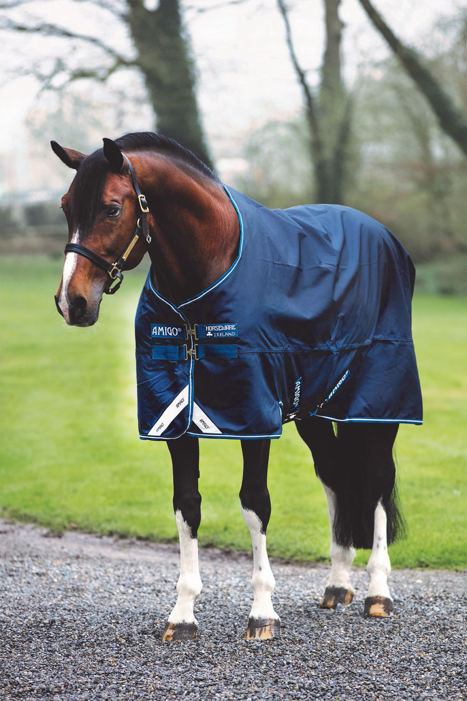 Koop Horseware Amigo Bravo 12 Lite Deken |